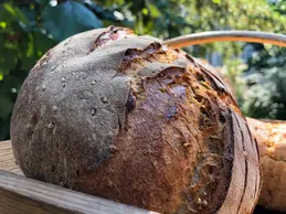 368-pain-bio-fermente-artisanal-lille-biocoop-saveur-et-saisons-solferino-magasin-bio.webp